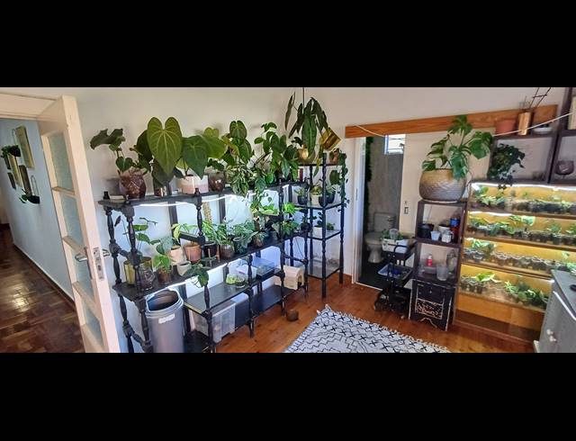 3 BEDROOM APARTMENT FOR SALE IN GLENWOOD